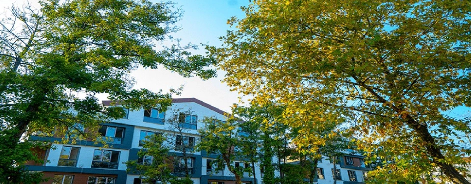 Property with combination of sea and forest views