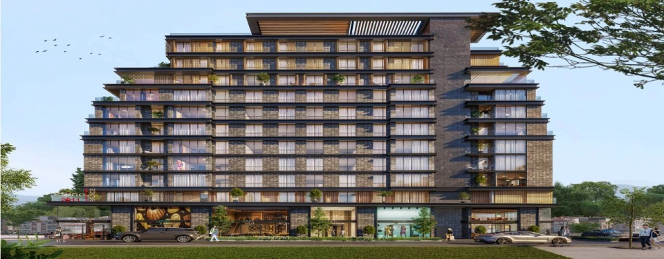 مشروع في منطقة زيتون بورنو المتنامية مناسب للاستثمار والمعيشة