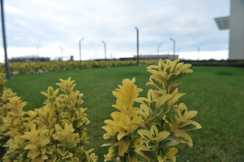 معرفی مشهورترین آپارتمان ترابزون مناسب سرمایه‌گذاری