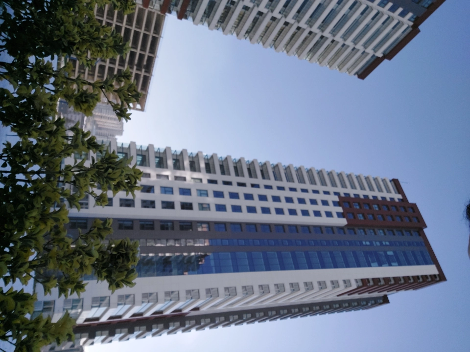 The most famous apartment in Trabzon suitable for investment